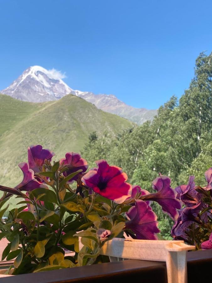 Hotel Elegant Kazbegi Exterior photo