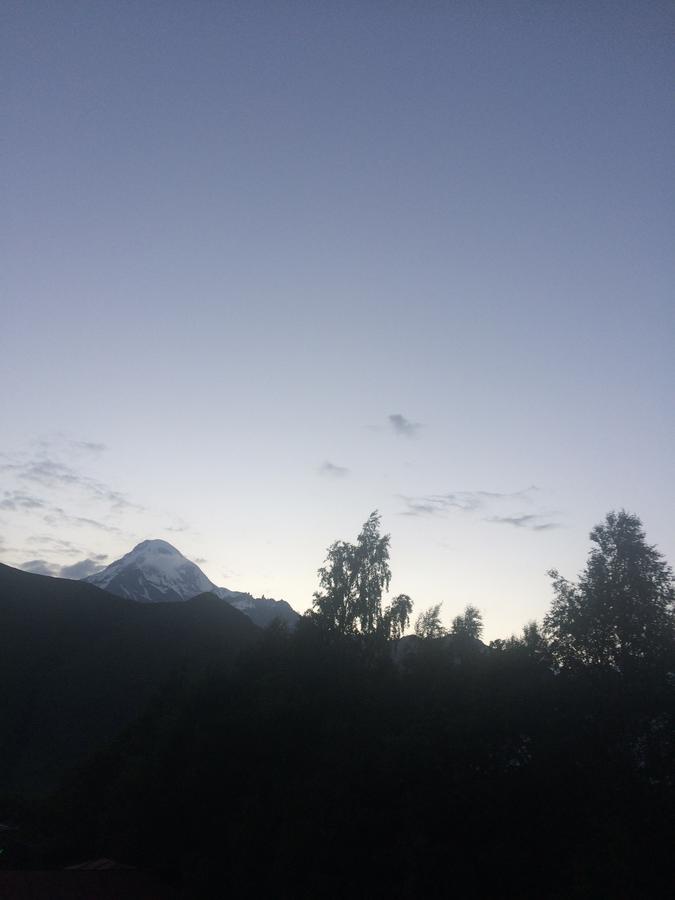 Hotel Elegant Kazbegi Exterior photo